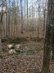 Picture of Rocky Creek - Wilkes County, GA