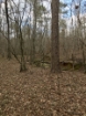 Picture of Rocky Creek - Wilkes County, GA