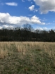 Picture of Rocky Creek - Wilkes County, GA