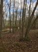Picture of Rocky Creek - Wilkes County, GA