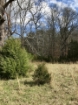 Picture of Rocky Creek - Wilkes County, GA
