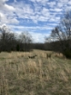 Picture of Rocky Creek - Wilkes County, GA