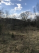 Picture of Rocky Creek - Wilkes County, GA
