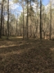 Picture of Rocky Creek - Wilkes County, GA