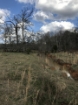 Picture of Rocky Creek - Wilkes County, GA