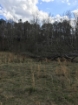 Picture of Rocky Creek - Wilkes County, GA