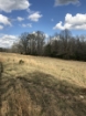Picture of Rocky Creek - Wilkes County, GA