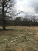 Picture of Rocky Creek - Wilkes County, GA