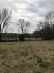 Picture of Rocky Creek - Wilkes County, GA
