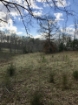 Picture of Rocky Creek - Wilkes County, GA