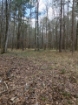 Picture of Rocky Creek - Wilkes County, GA