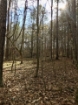 Picture of Rocky Creek - Wilkes County, GA