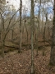Picture of Rocky Creek - Wilkes County, GA