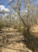 Picture of Rocky Creek - Wilkes County, GA