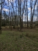 Picture of Rocky Creek - Wilkes County, GA