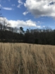 Picture of Rocky Creek - Wilkes County, GA