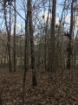 Picture of Rocky Creek - Wilkes County, GA