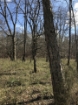Picture of Rocky Creek - Wilkes County, GA