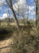 Picture of Rocky Creek - Wilkes County, GA