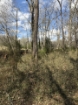 Picture of Rocky Creek - Wilkes County, GA