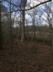 Picture of Rocky Creek - Wilkes County, GA