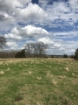 Picture of Rocky Creek - Wilkes County, GA