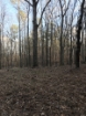 Picture of Rocky Creek - Wilkes County, GA
