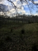 Picture of Rocky Creek - Wilkes County, GA