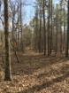 Picture of Rocky Creek - Wilkes County, GA