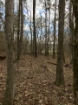 Picture of Rocky Creek - Wilkes County, GA