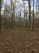 Picture of Rocky Creek - Wilkes County, GA