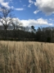 Picture of Rocky Creek - Wilkes County, GA