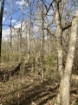 Picture of Rocky Creek - Wilkes County, GA