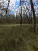 Picture of Rocky Creek - Wilkes County, GA