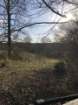 Picture of Rocky Creek - Wilkes County, GA