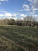 Picture of Rocky Creek - Wilkes County, GA