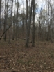 Picture of Rocky Creek - Wilkes County, GA
