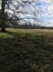 Picture of Rocky Creek - Wilkes County, GA