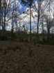 Picture of Rocky Creek - Wilkes County, GA