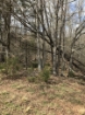 Picture of Rocky Creek - Wilkes County, GA