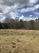 Picture of Rocky Creek - Wilkes County, GA