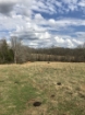 Picture of Rocky Creek - Wilkes County, GA