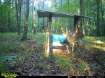Picture of Rocky Creek - Wilkes County, GA