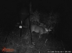 Picture of Petrey Farms - Crenshaw County, AL