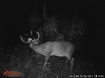 Picture of Petrey Farms - Crenshaw County, AL