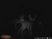 Picture of Petrey Farms - Crenshaw County, AL