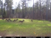 Picture of Beaverdam Farm North - Wilkes County, GA