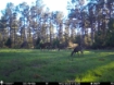 Picture of Beaverdam Farm North - Wilkes County, GA