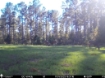 Picture of Beaverdam Farm North - Wilkes County, GA