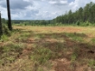 Picture of Beaverdam Farm North - Wilkes County, GA